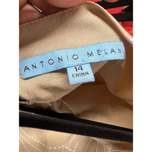 Antonio Melani  Warm Sand Embroidered Scalloped Mini Dress NWT Size 14 - Picture 5 of 6